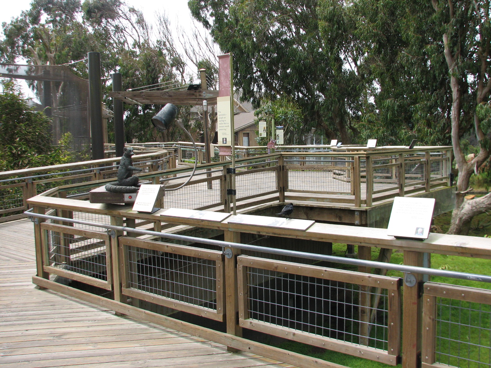 Lemur Forest - Viewing Boardwalk