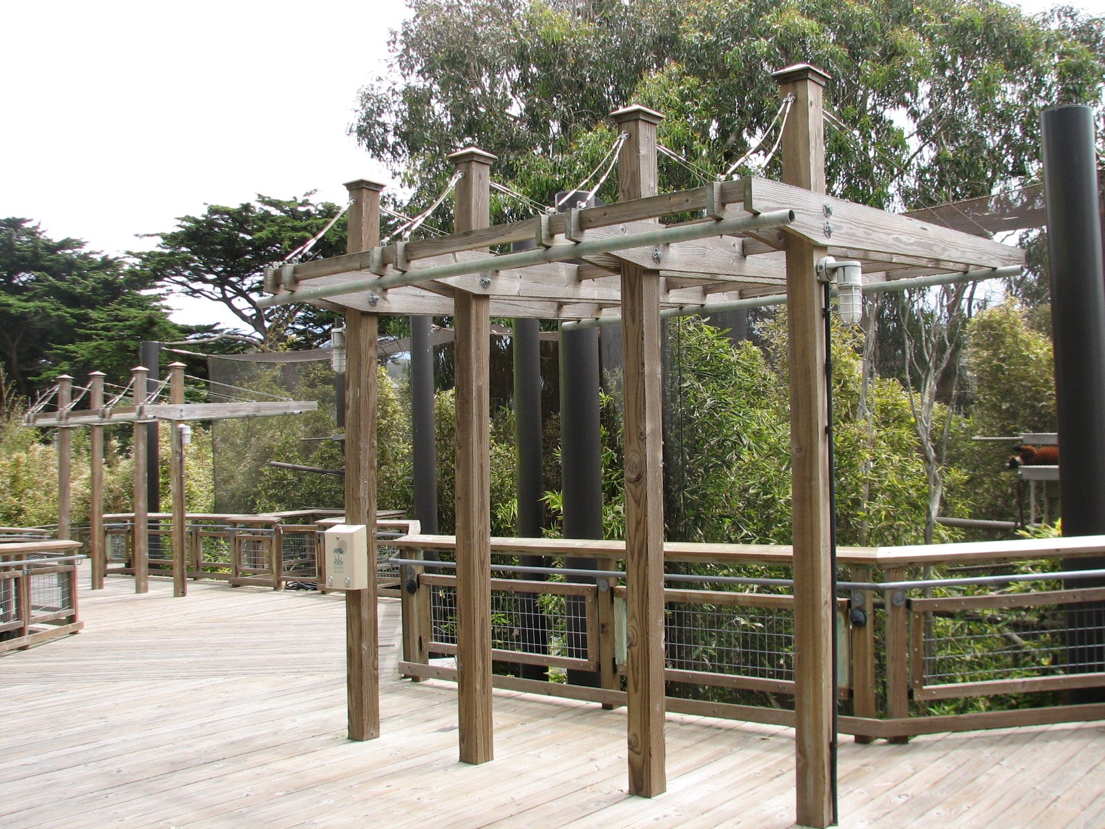 Lemur Forest - Viewing Boardwalk