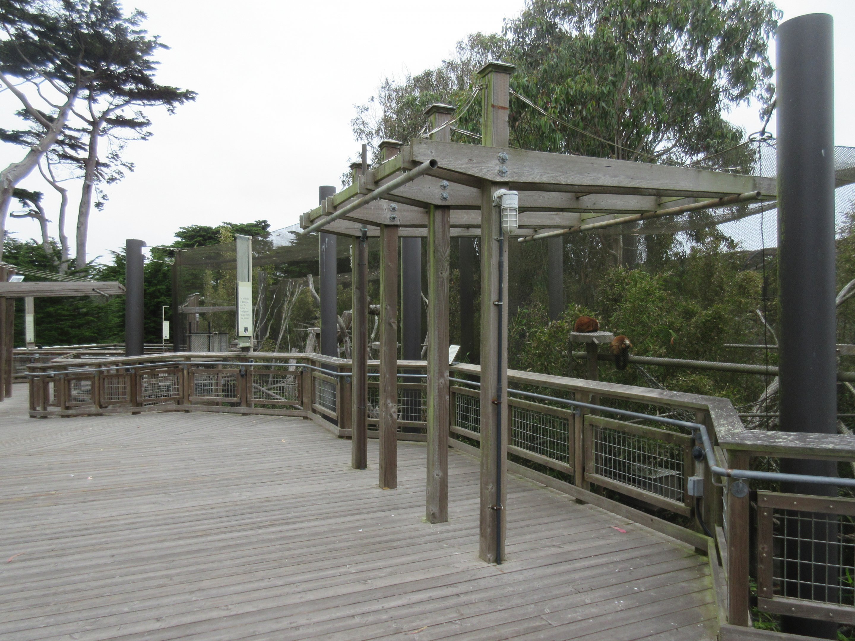 Lemur Forest - Visitor Boardwalk