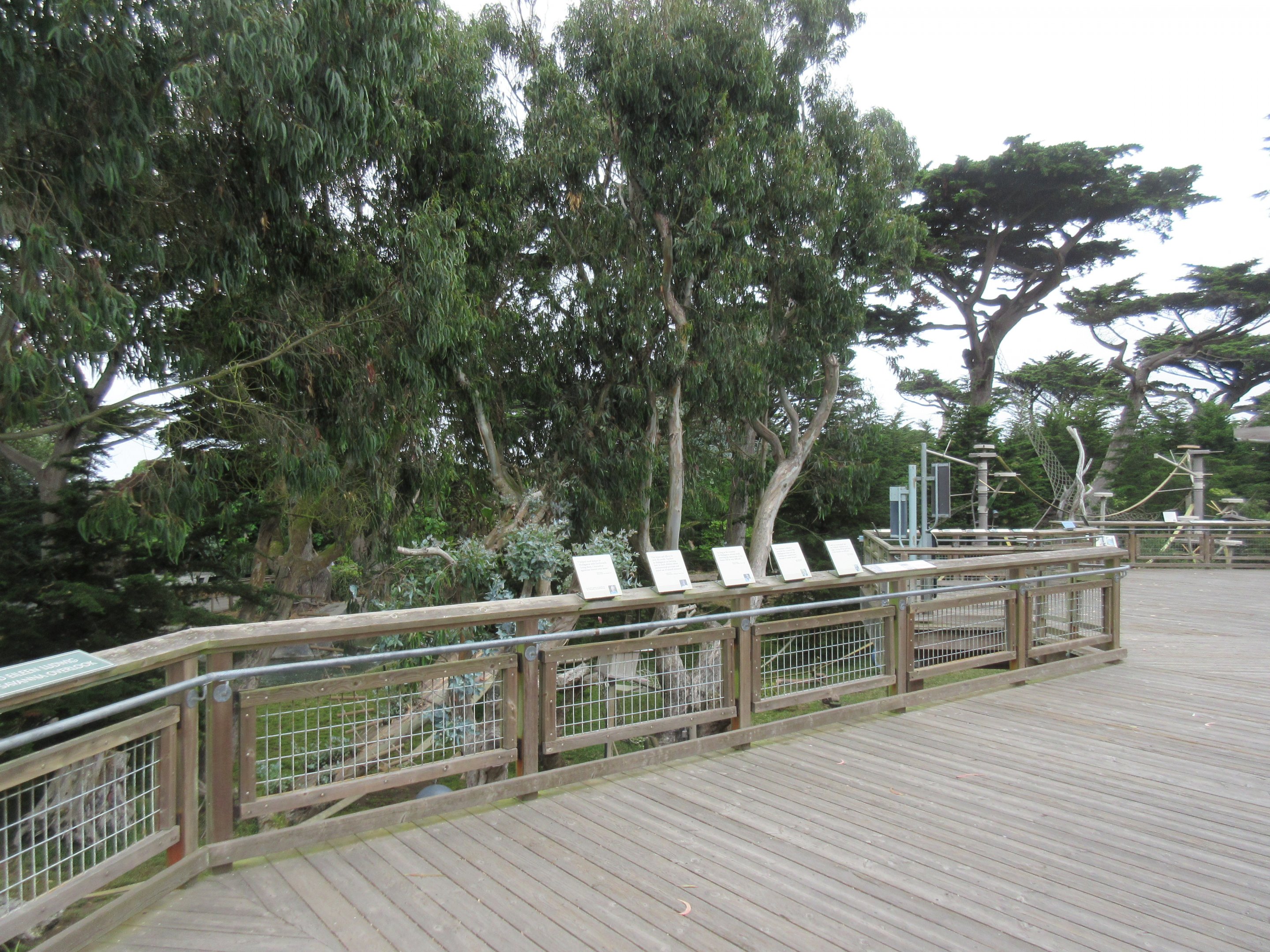 Lemur Forest - Visitor Boardwalk