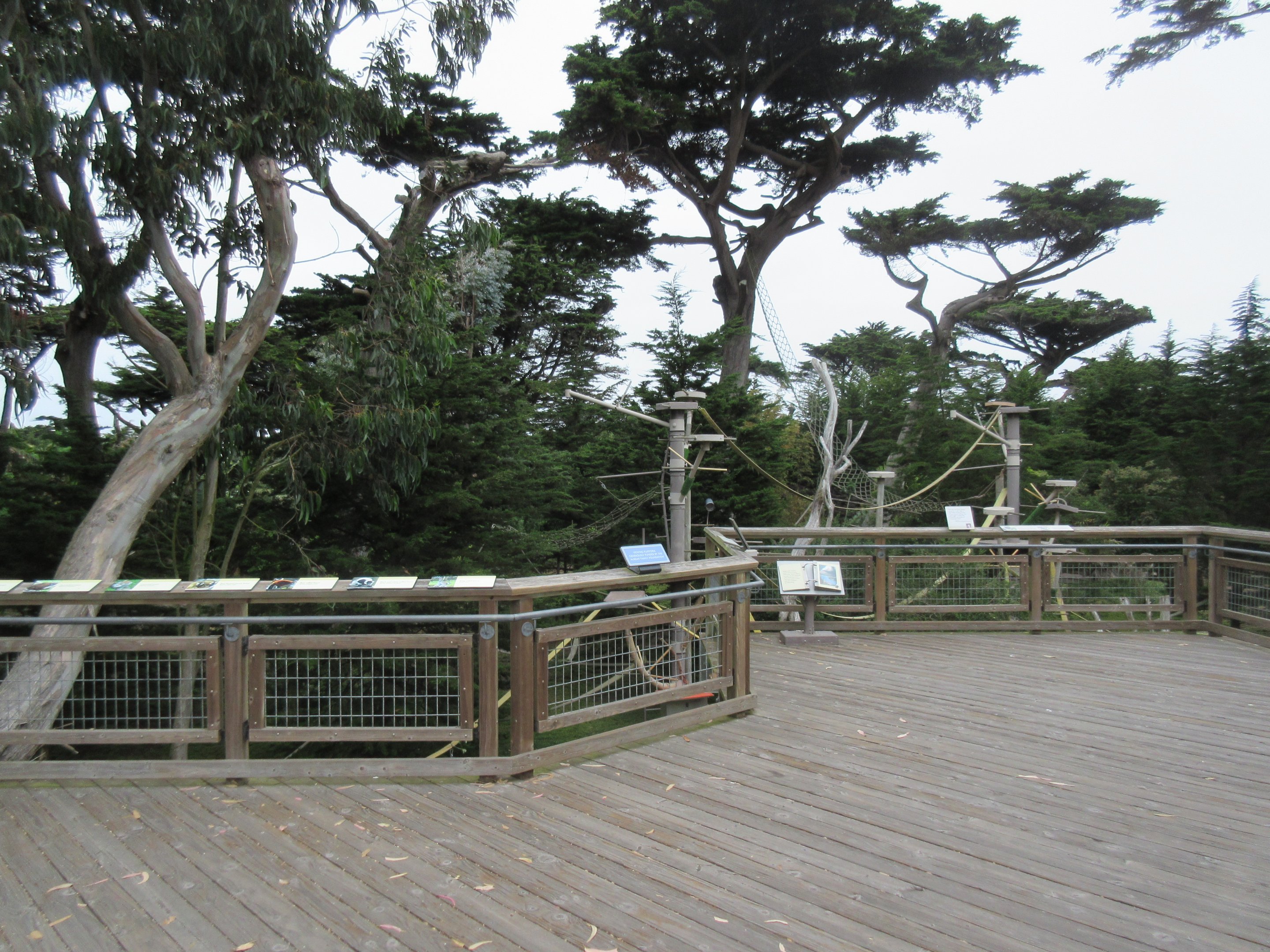 Lemur Forest - Visitor Boardwalk
