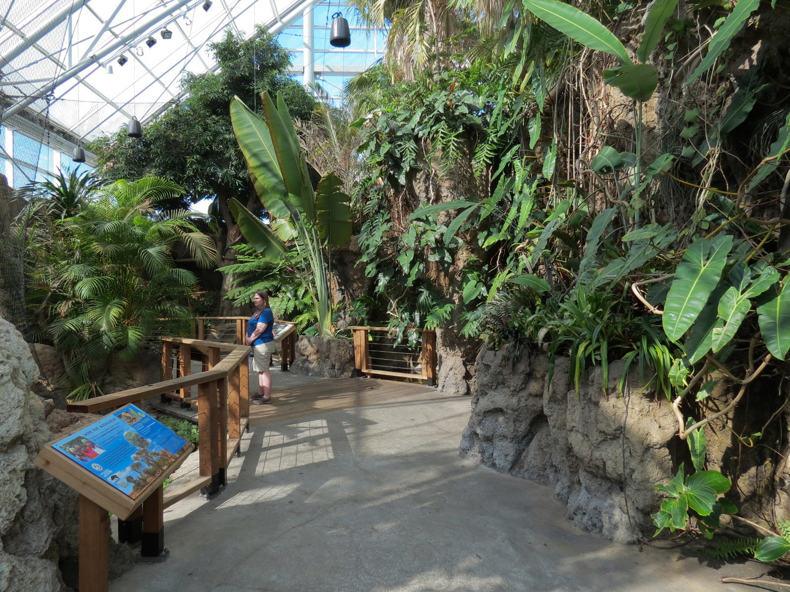 Lemur Forest - Walkway