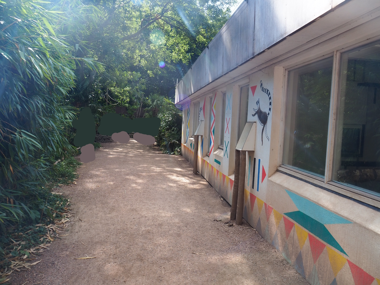 Lemur house, 2022-08-28