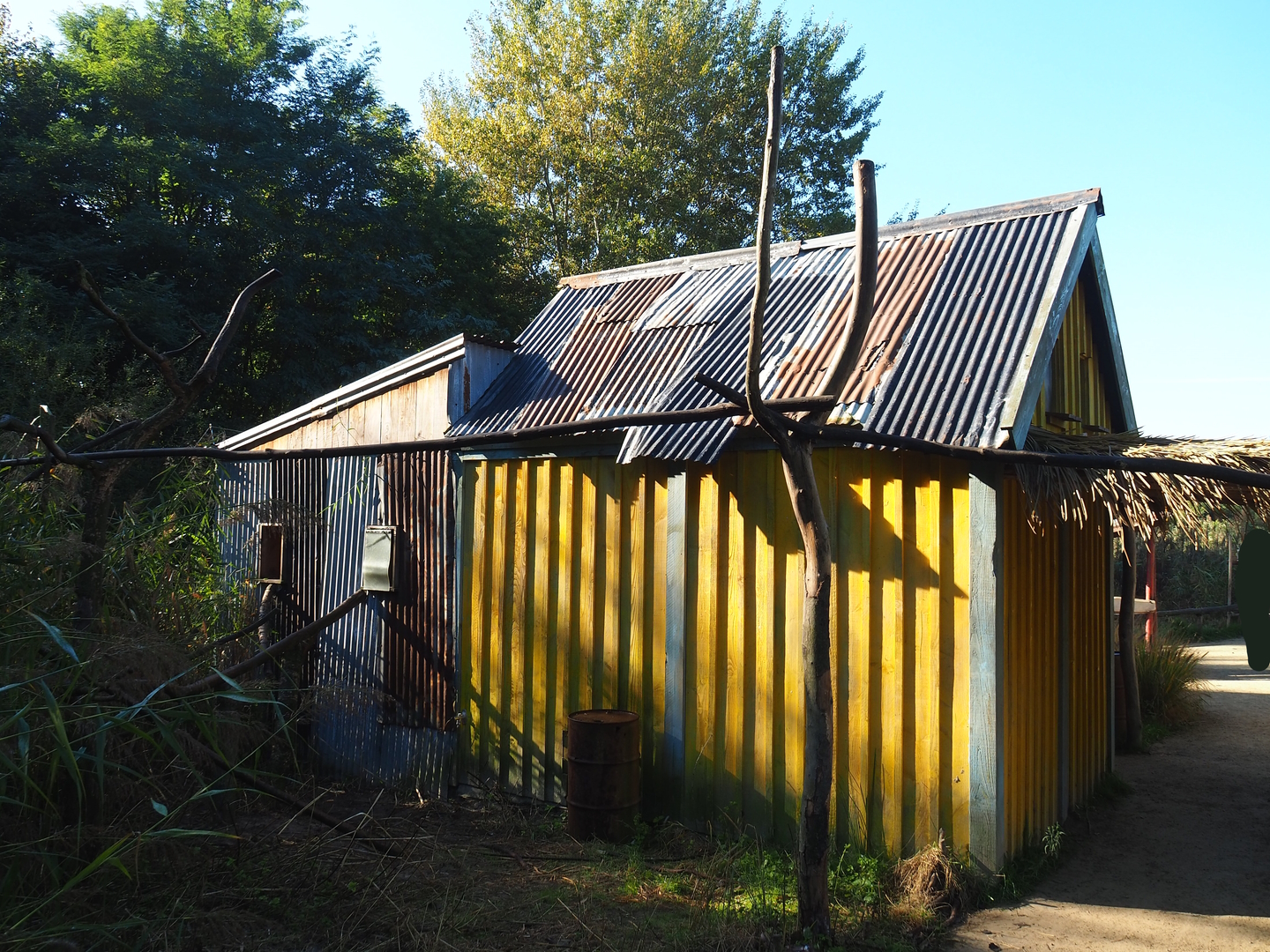 Lemur house, 2022-10-09