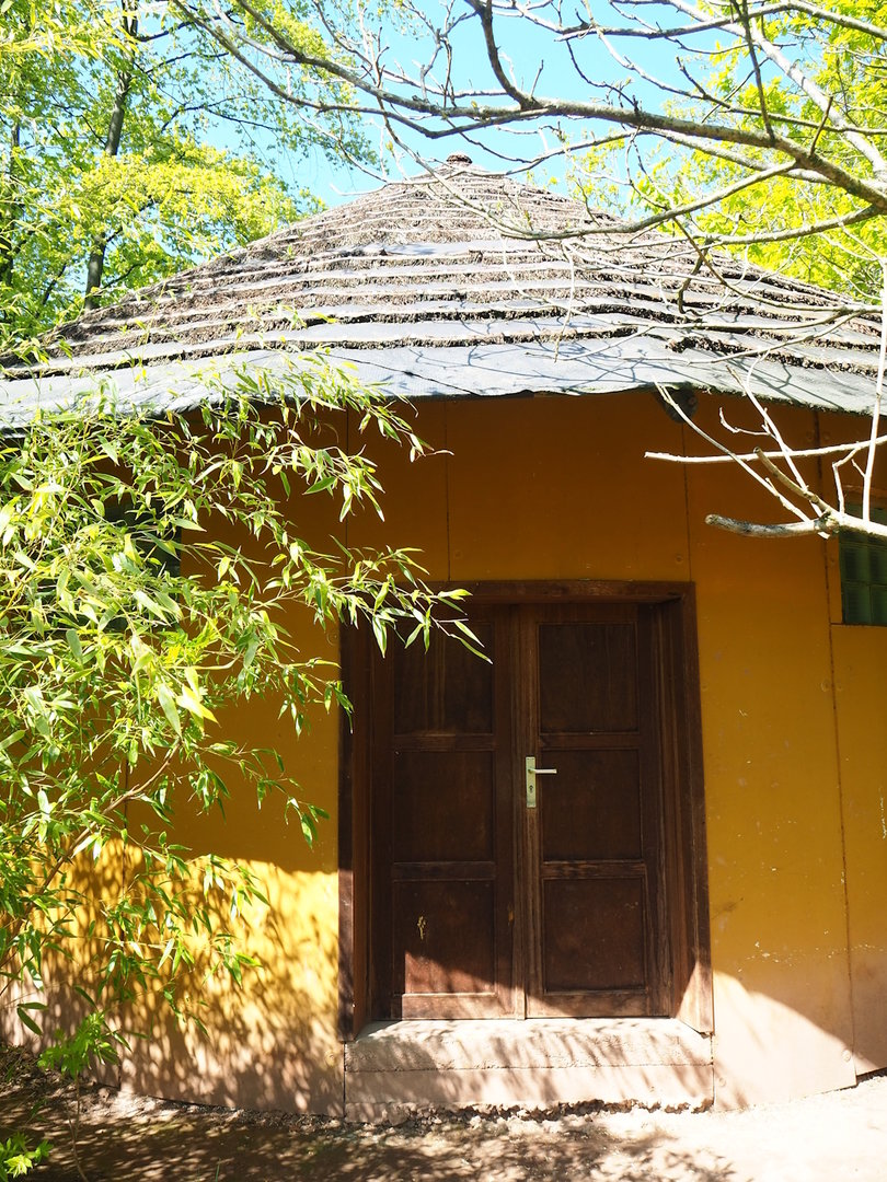 Lemur house, 2023-05-19