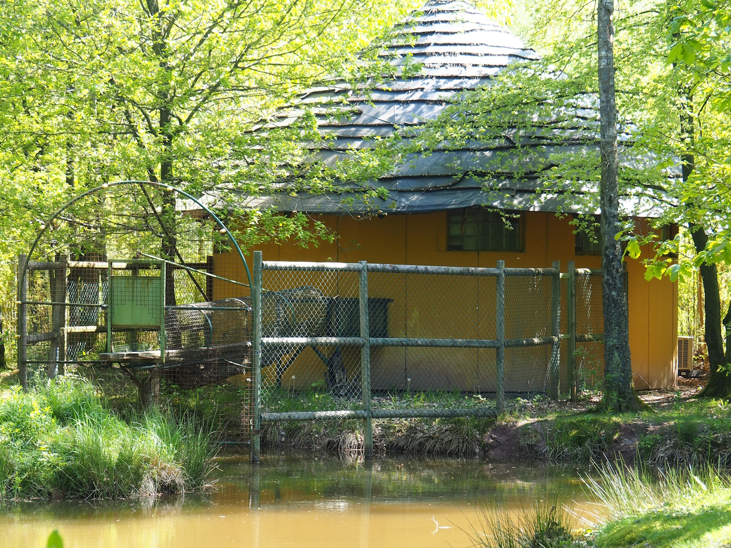 Lemur house and chute to island, 2023-05-19