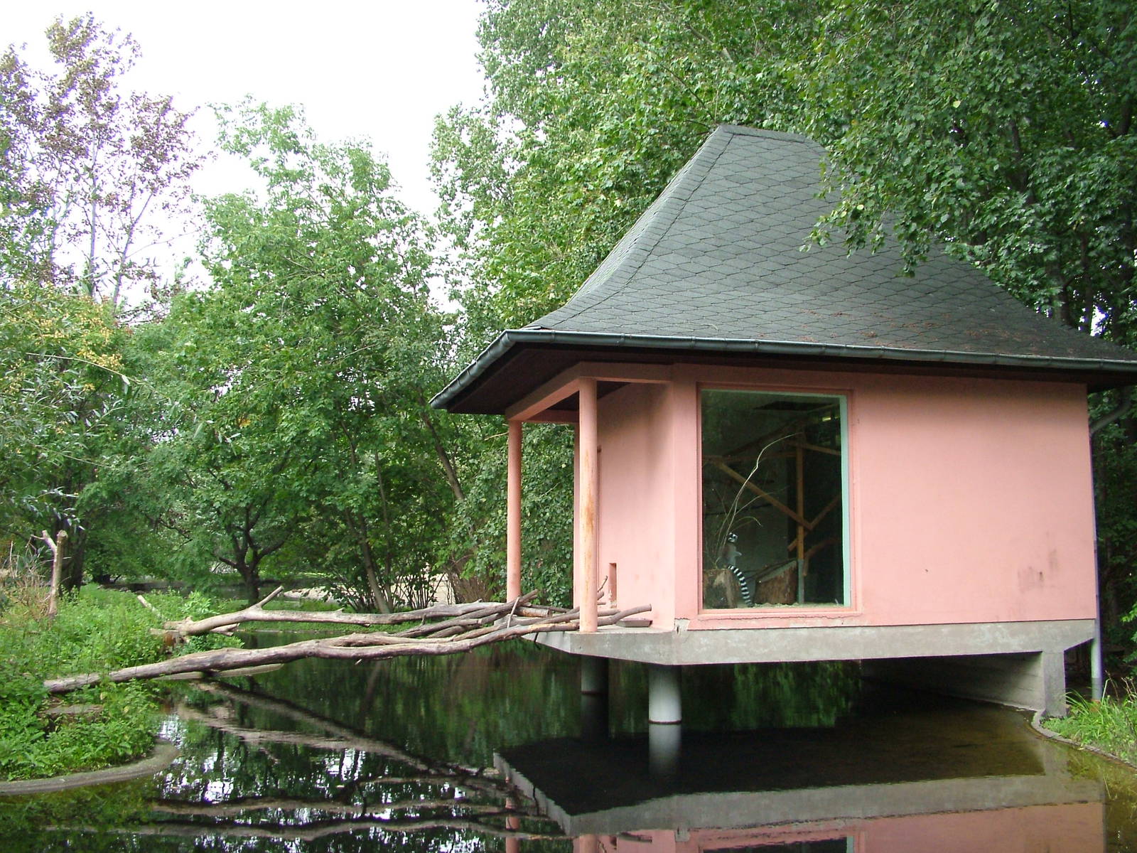 Lemur House at Tierpark Berlin, 30/08/11
