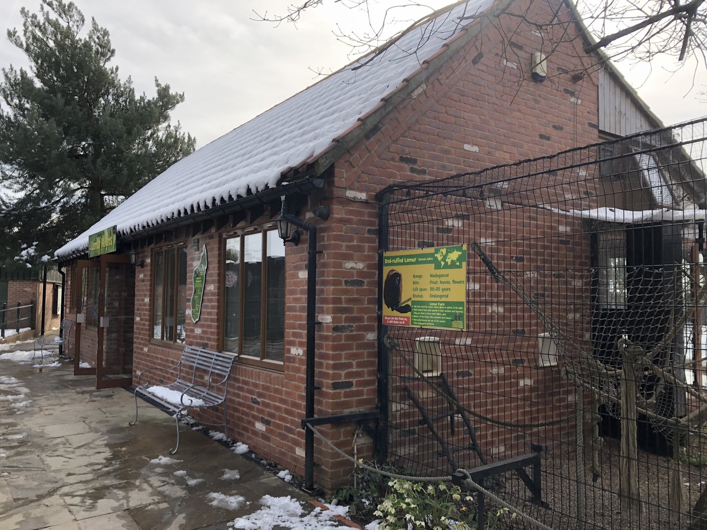 Lemur House at Tropical Butterfly House (March 2023)