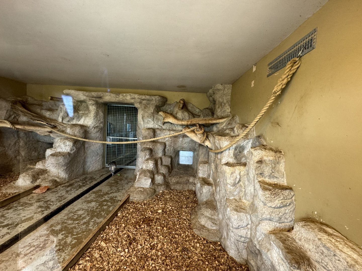 Lemur Indoor Enclosure at Wolds Wildlife Park (March 2024)