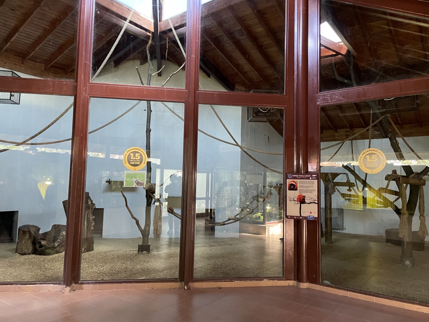 Lemur indoor enclosure