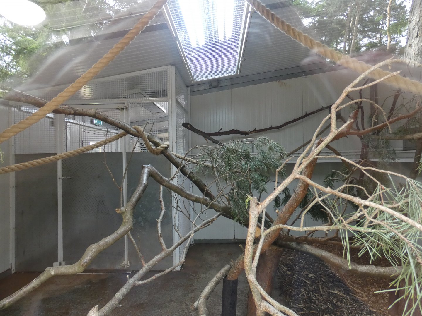 Lemur indoor enclosure