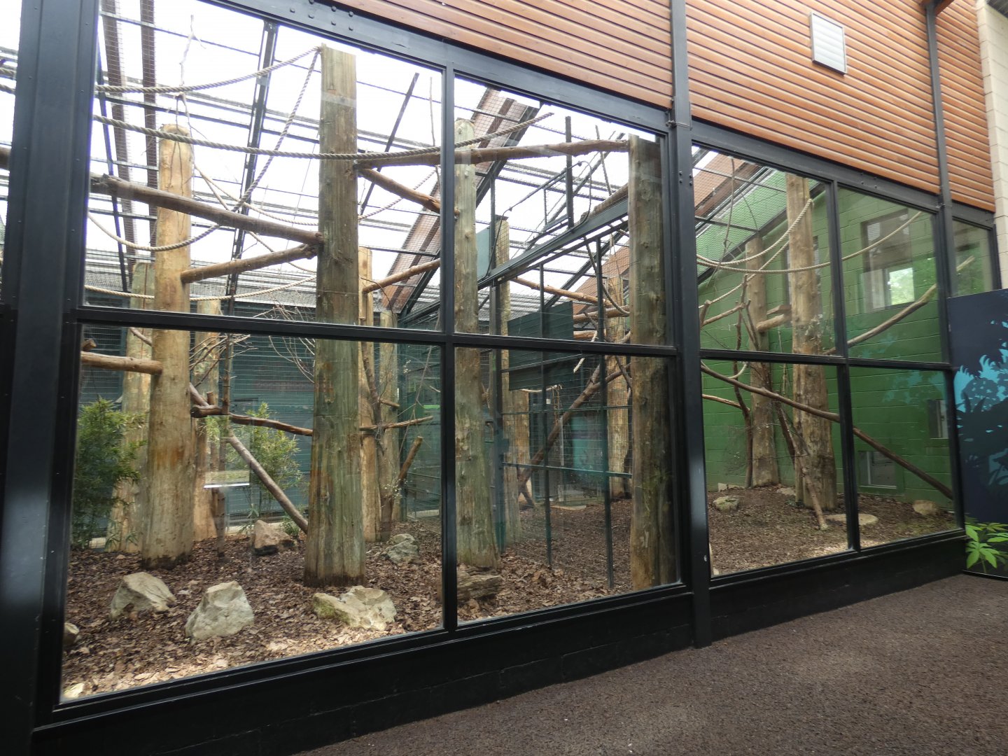 Lemur indoor enclosure
