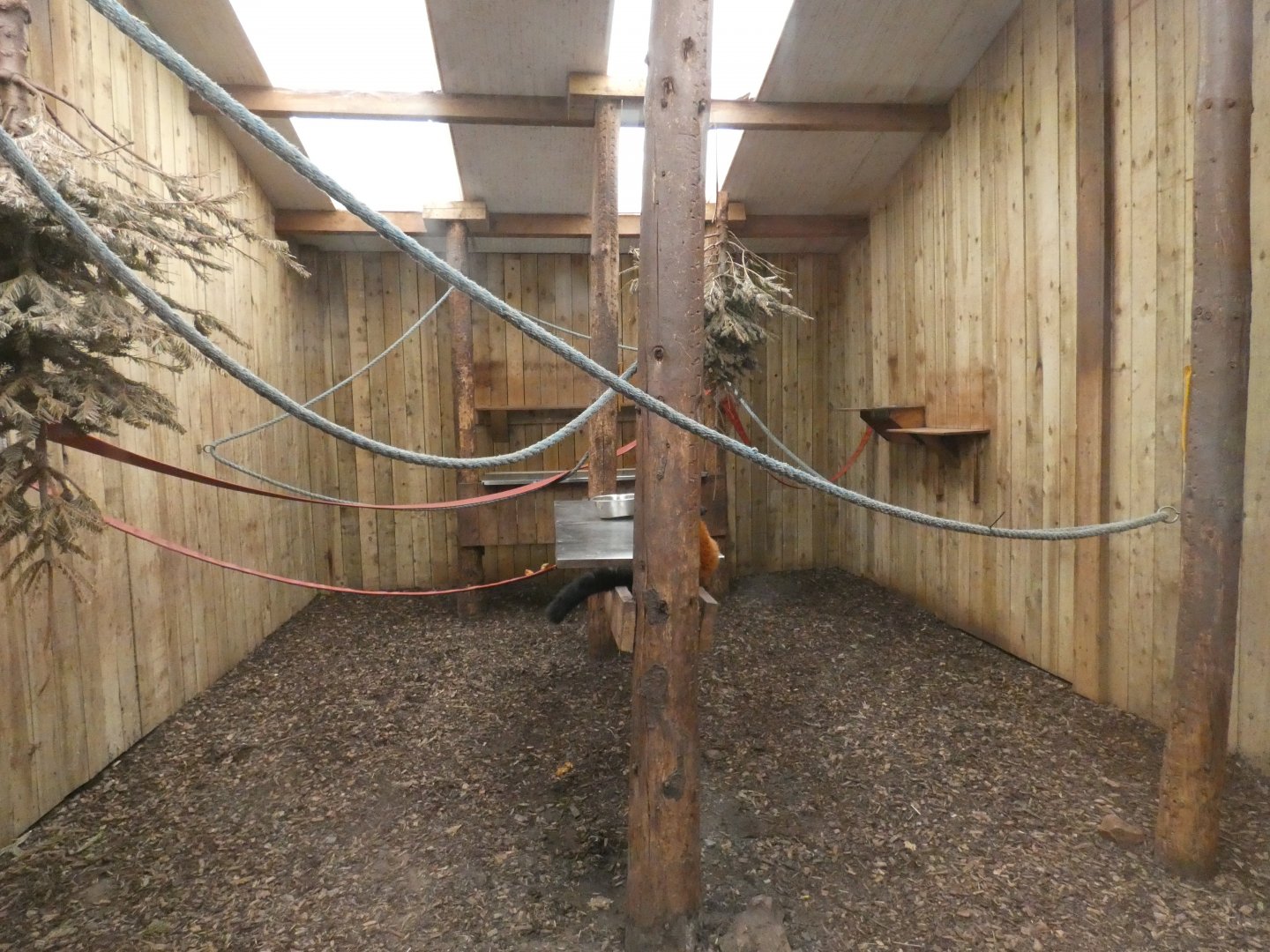 Lemur indoor enclosure
