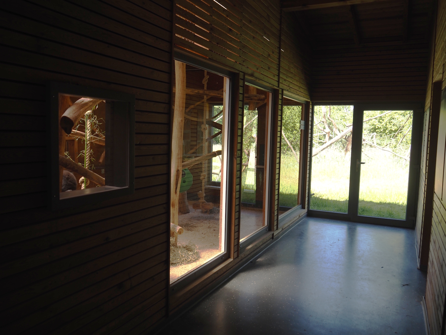 Lemur indoor exhibit and viewing windows into Lemur forest exhibit, 2025-05-22