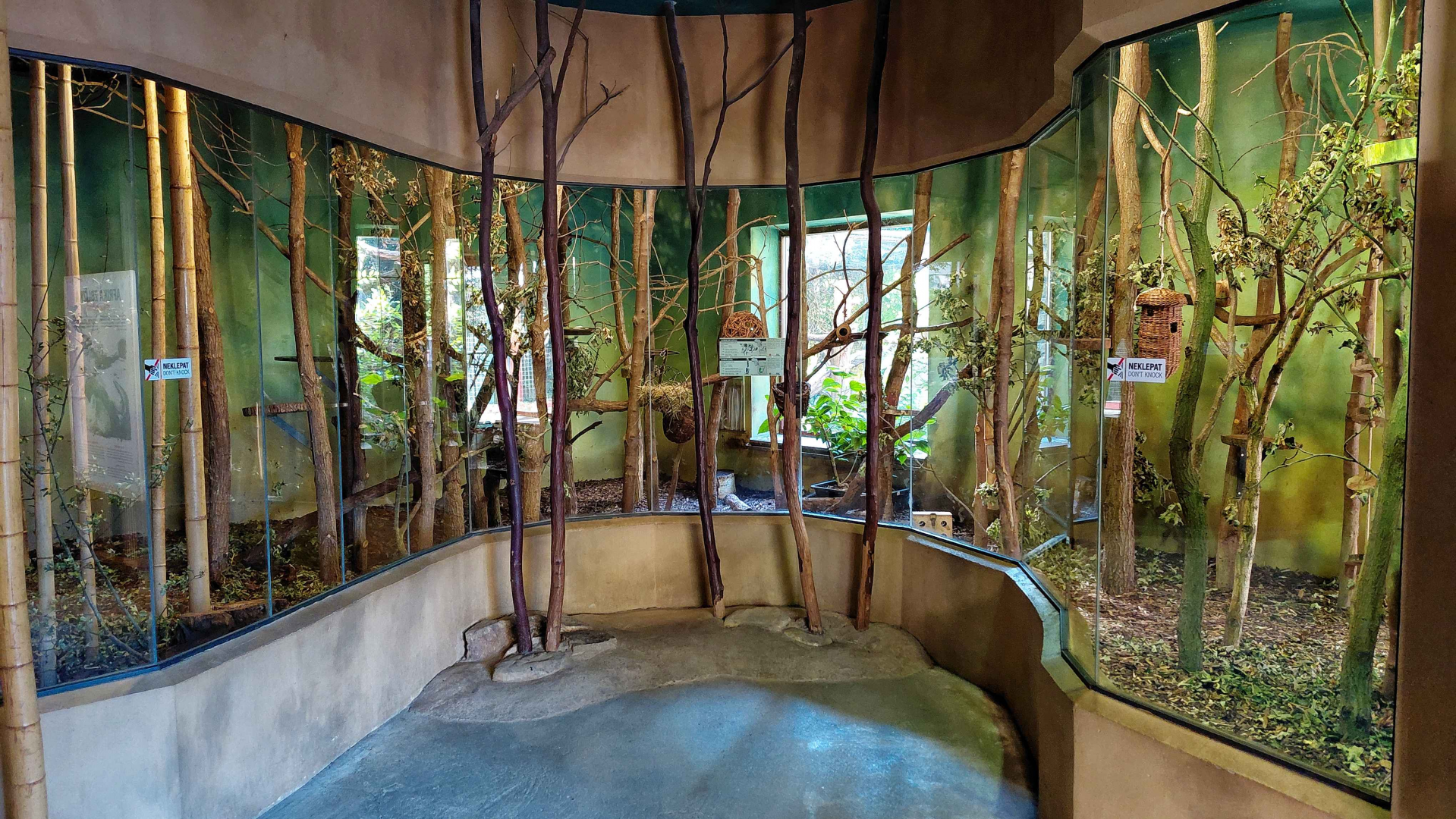 Lemur indoor exhibit