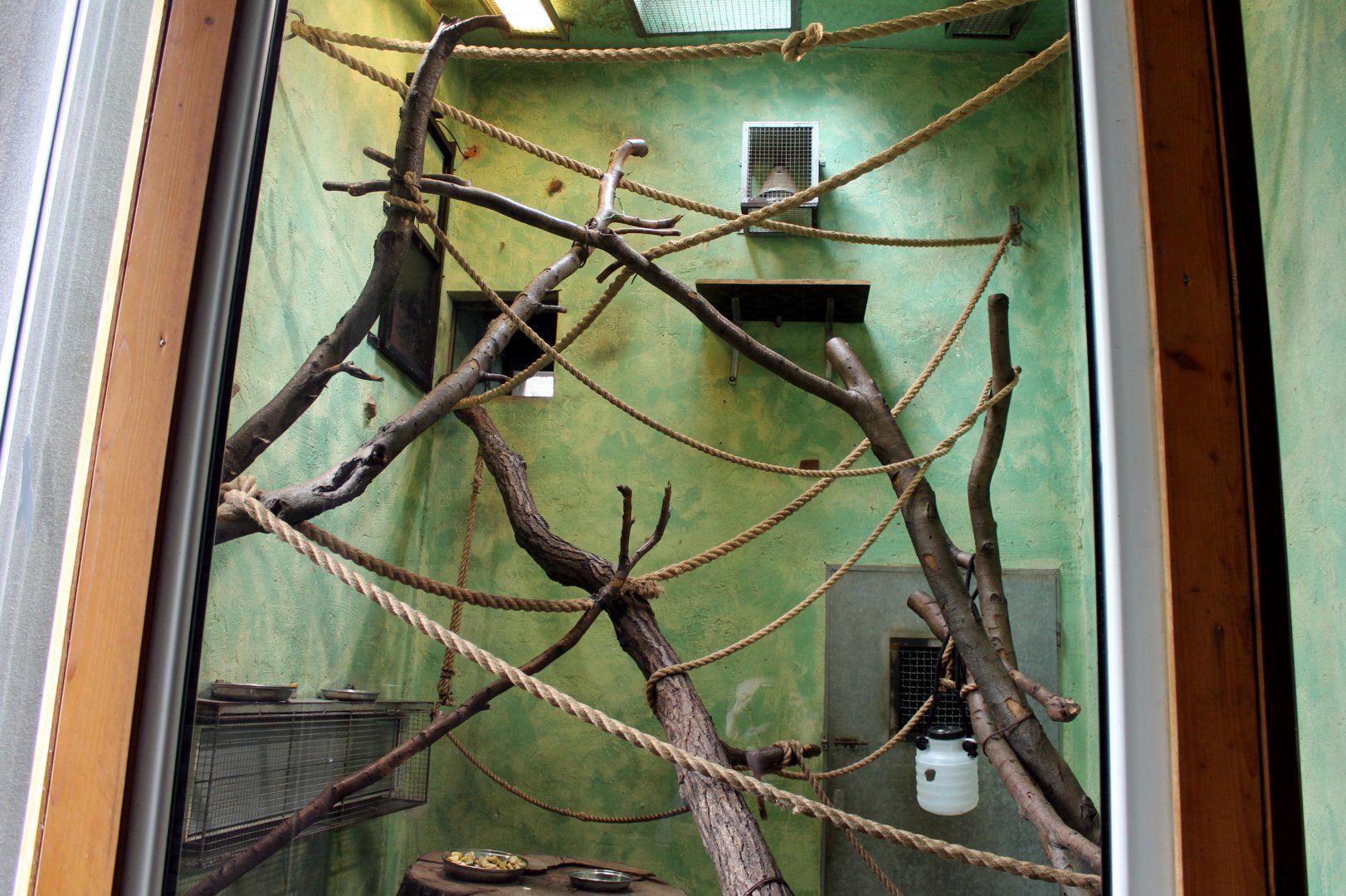 Lemur Indoor House