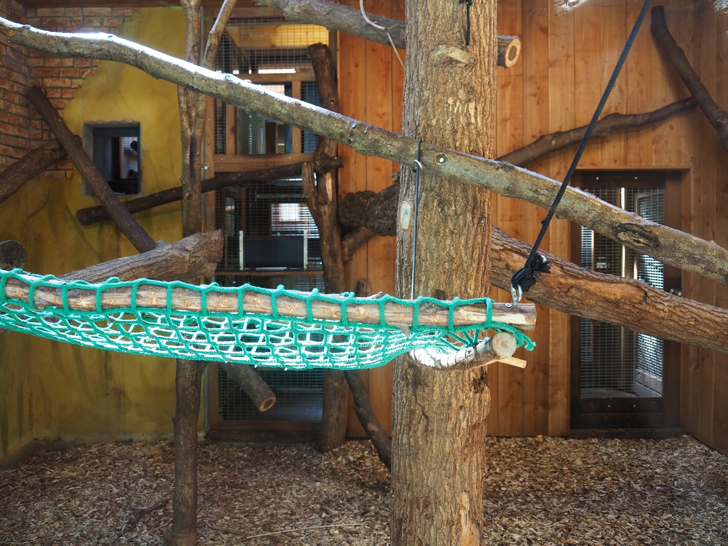 Lemur indoor housing