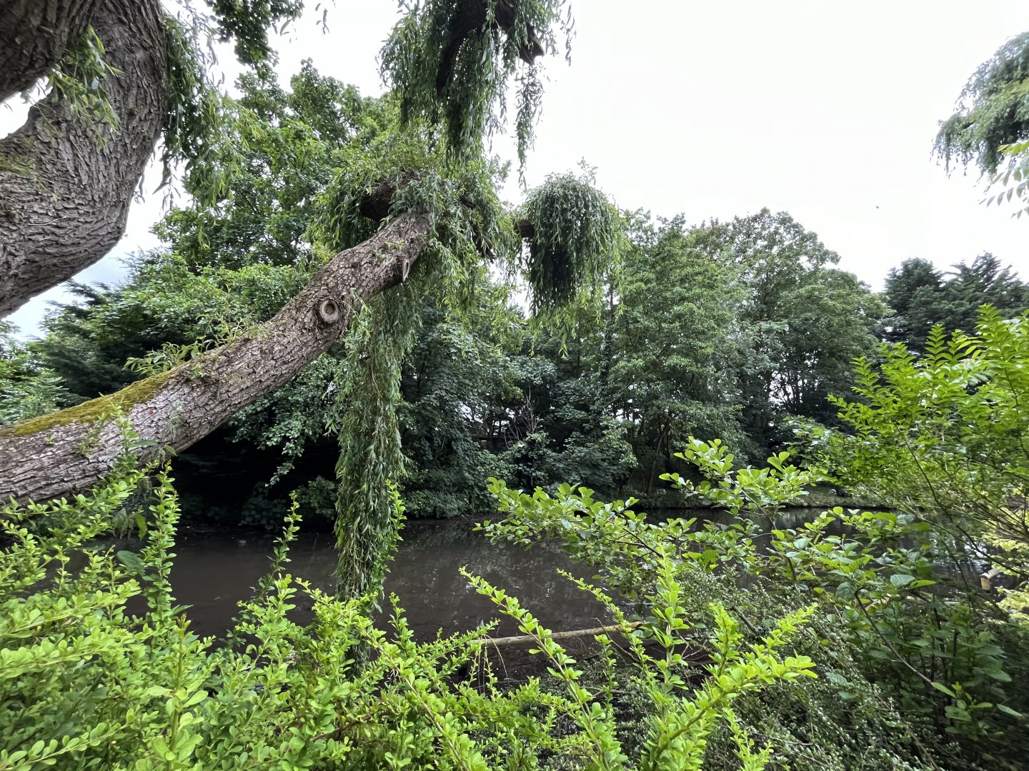 Lemur island 29.6.24