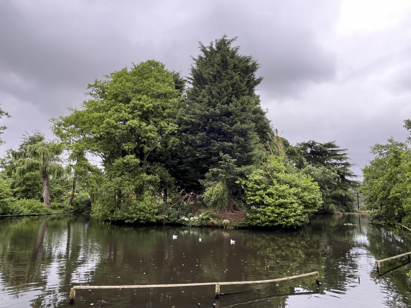 Lemur island 29.6.24