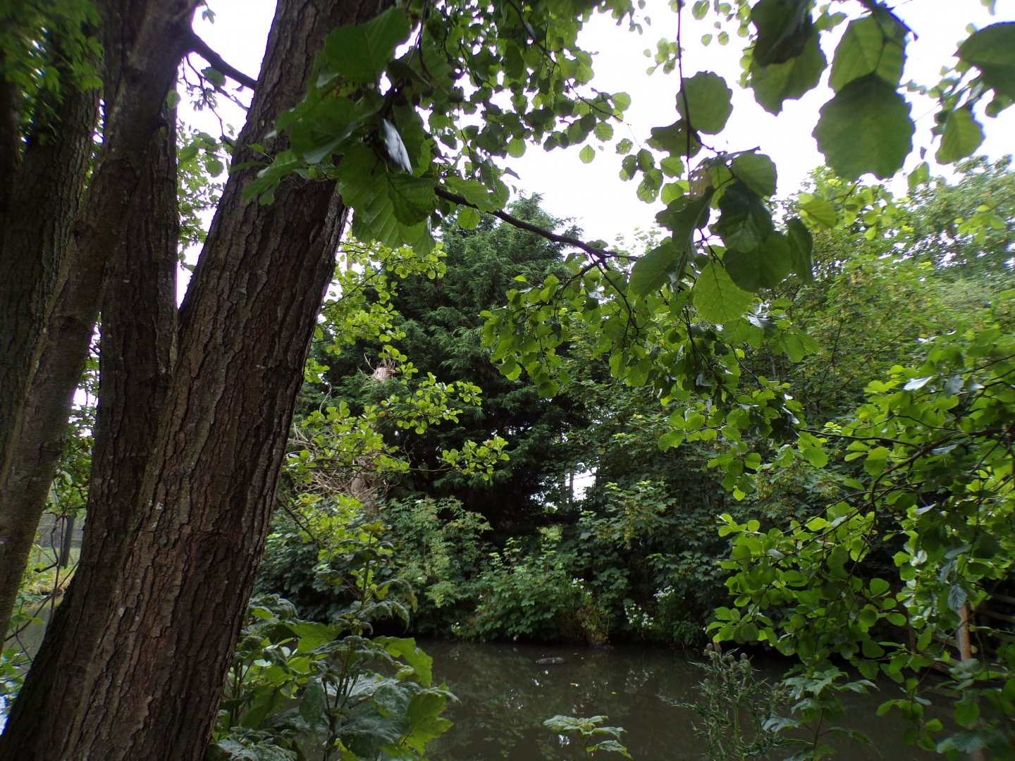 Lemur island 29.6.24