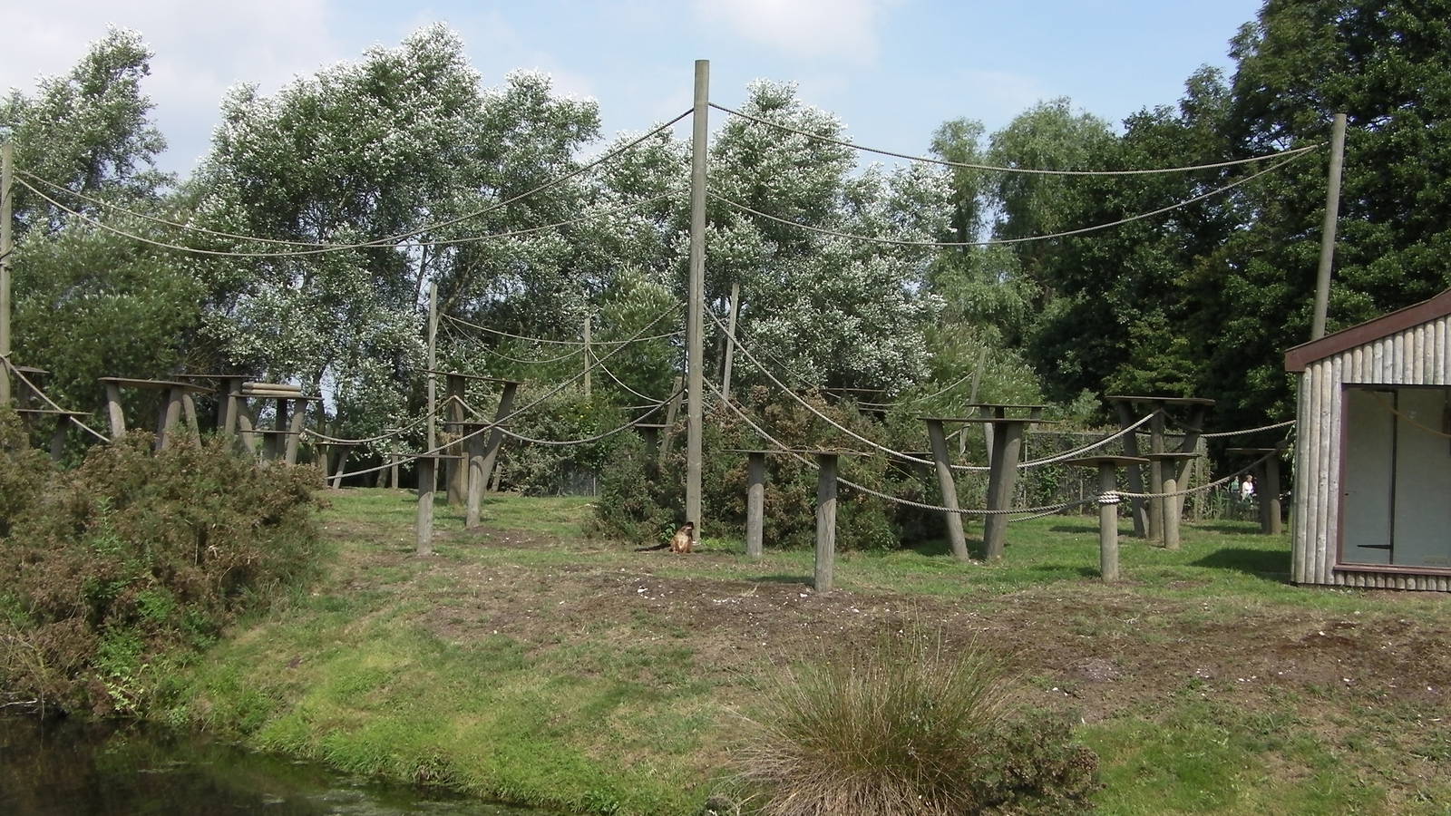 Lemur Island - 31.07.2011