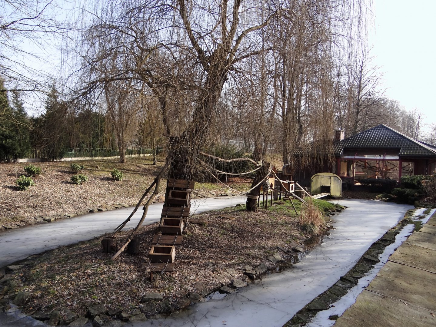 Lemur island and house