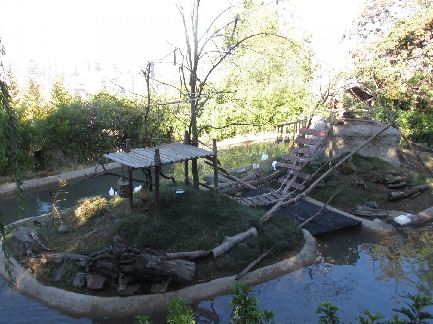 lemur island and waterfowl pond
