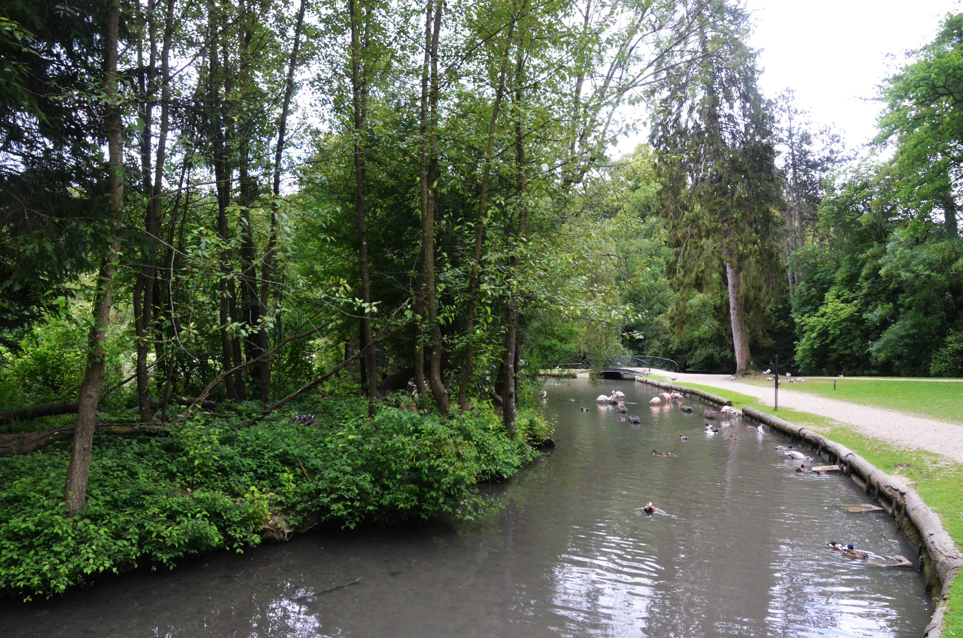 Lemur Island at Clères, 16/06/18