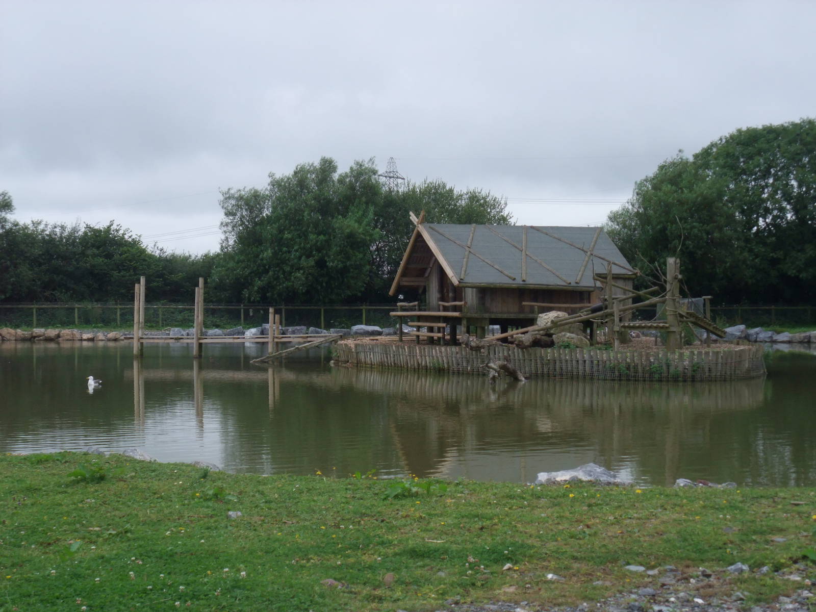 Lemur Island at Folly Farm, 01/08/11