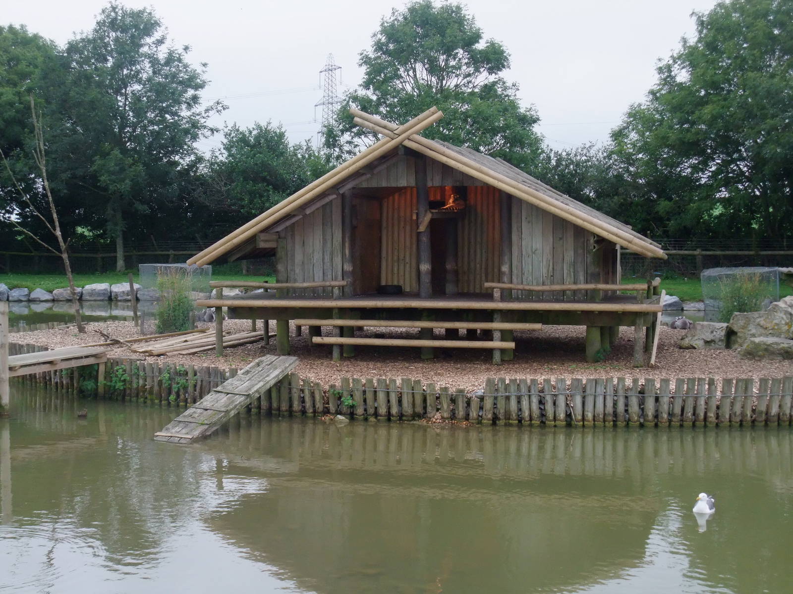Lemur Island at Folly Farm, 01/08/11