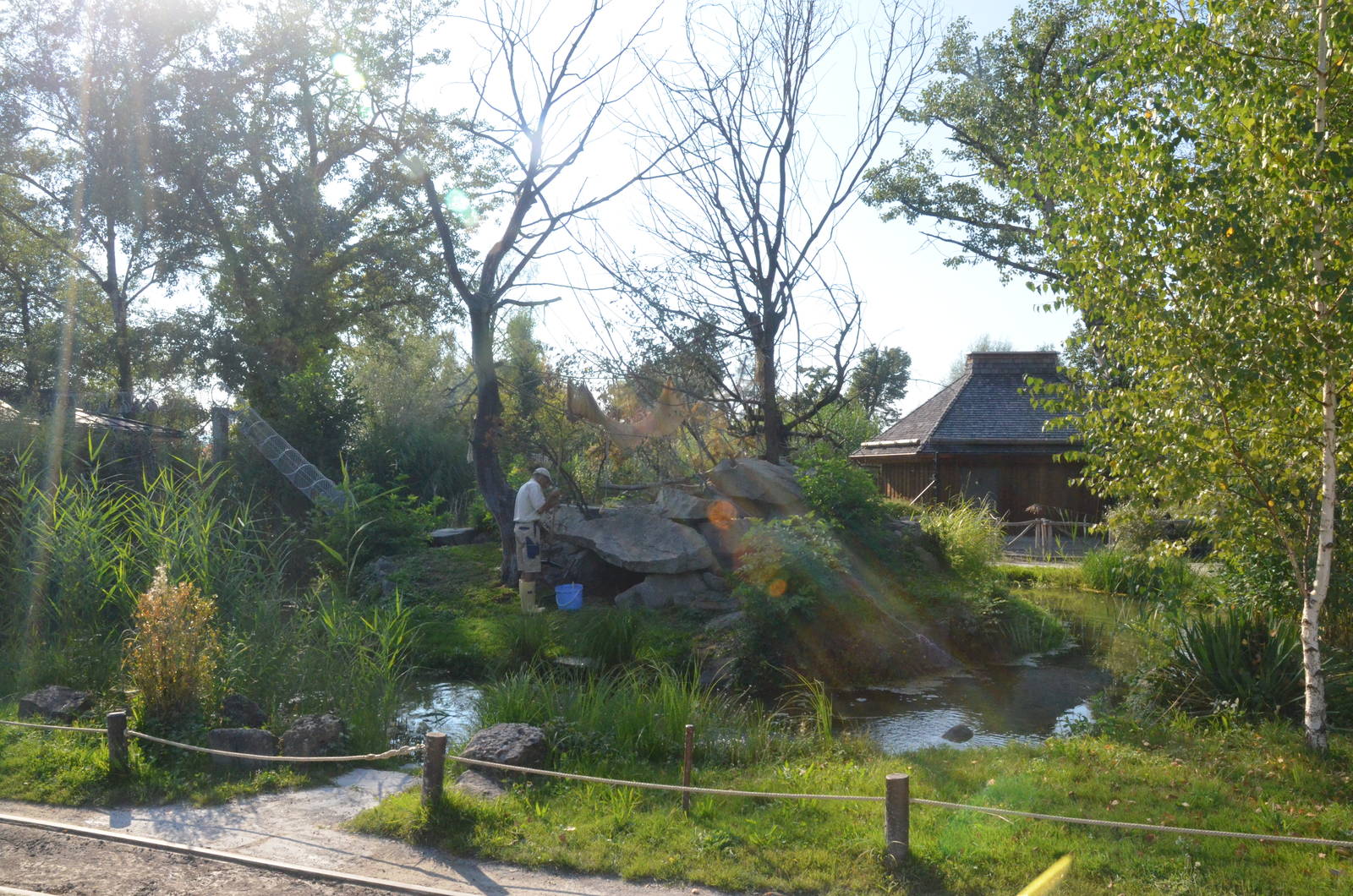 Lemur Island at Knie Kinderzoo, 11/09/16