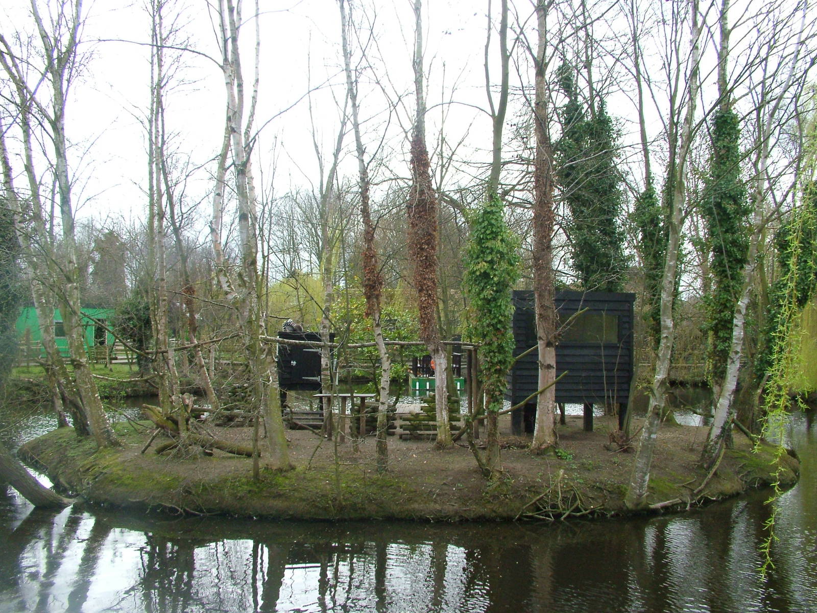 Lemur Island at Shepreth 05/04/10