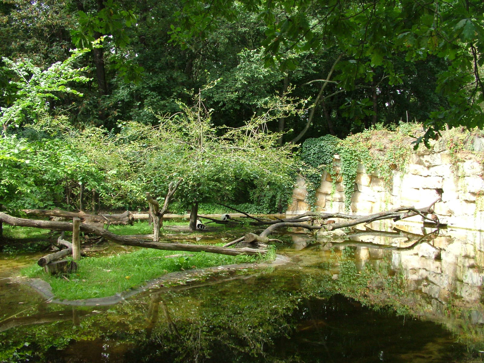 Lemur Island at Tierpark Berlin, 30/08/11