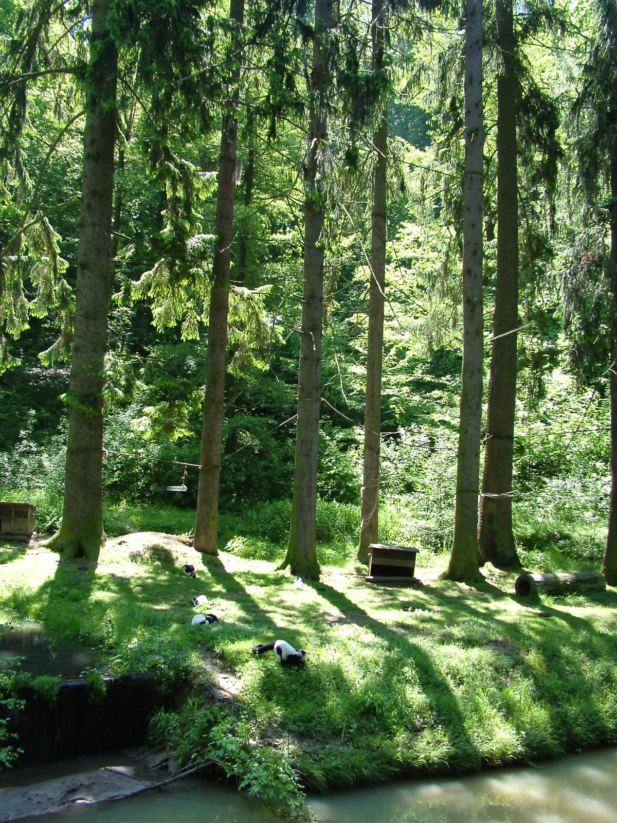 Lemur Island at Zlin, 28/05/10