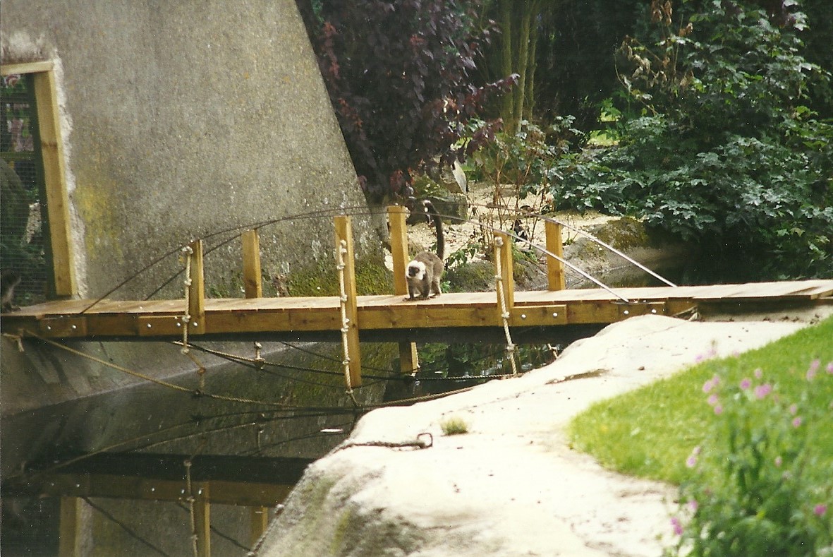 Lemur island bridge to house 14th August 1999