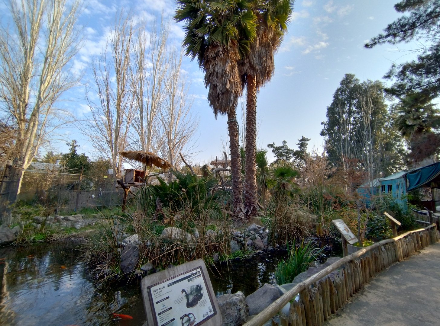 Lemur island - Buin zoo