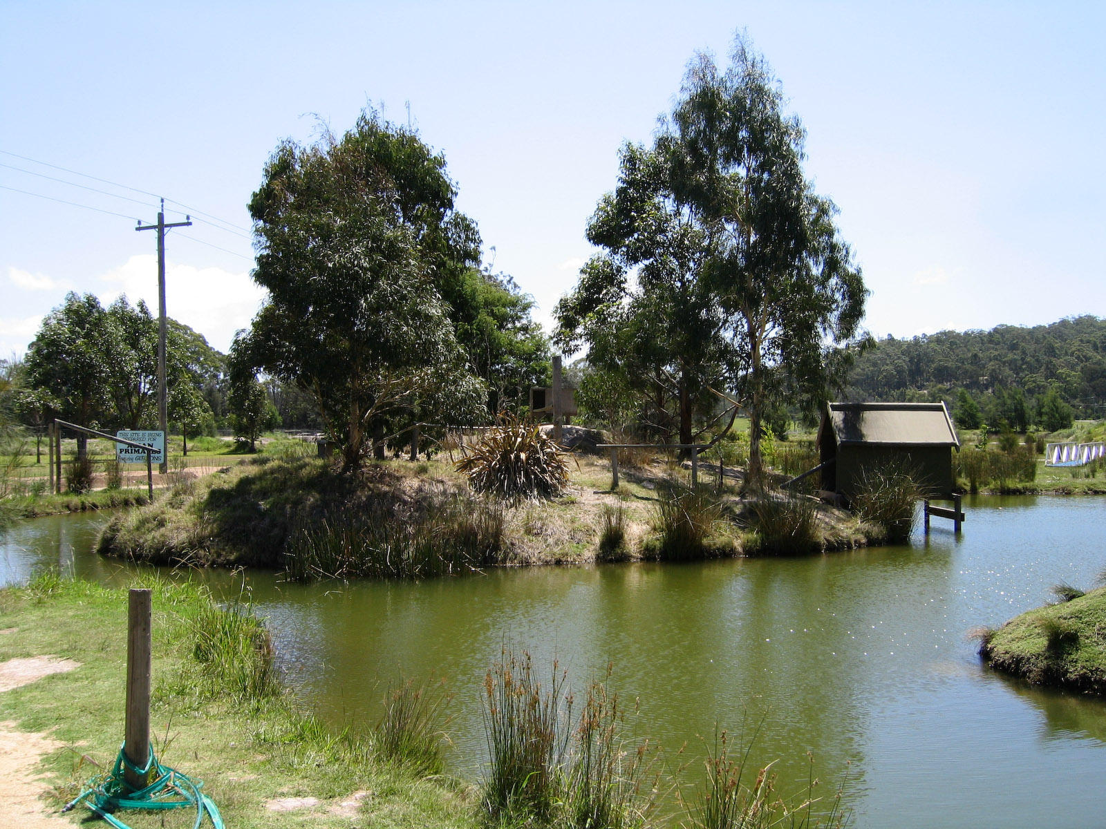 Lemur island - Dec 2003