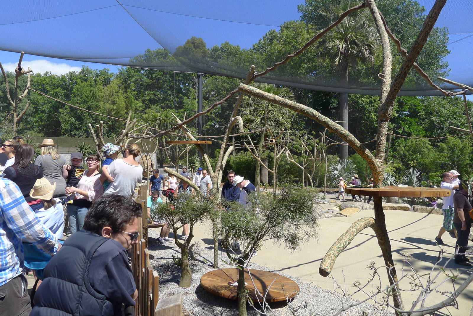 Lemur Island - dry zone