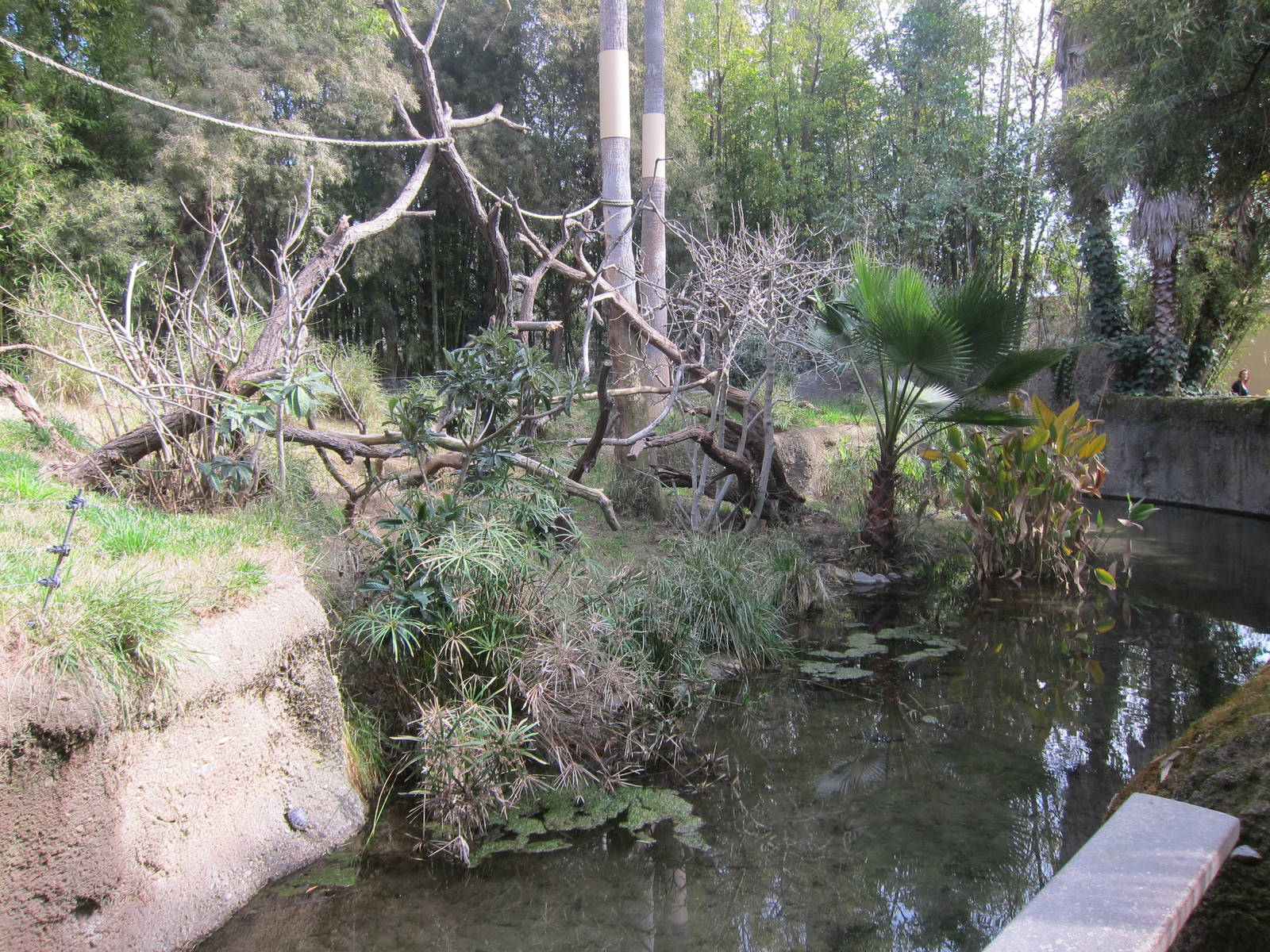 Lemur Island Exhibit
