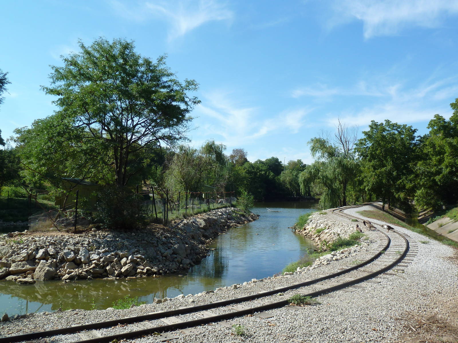 Lemur Island (Heavily Fenced) + Railway Tracks
