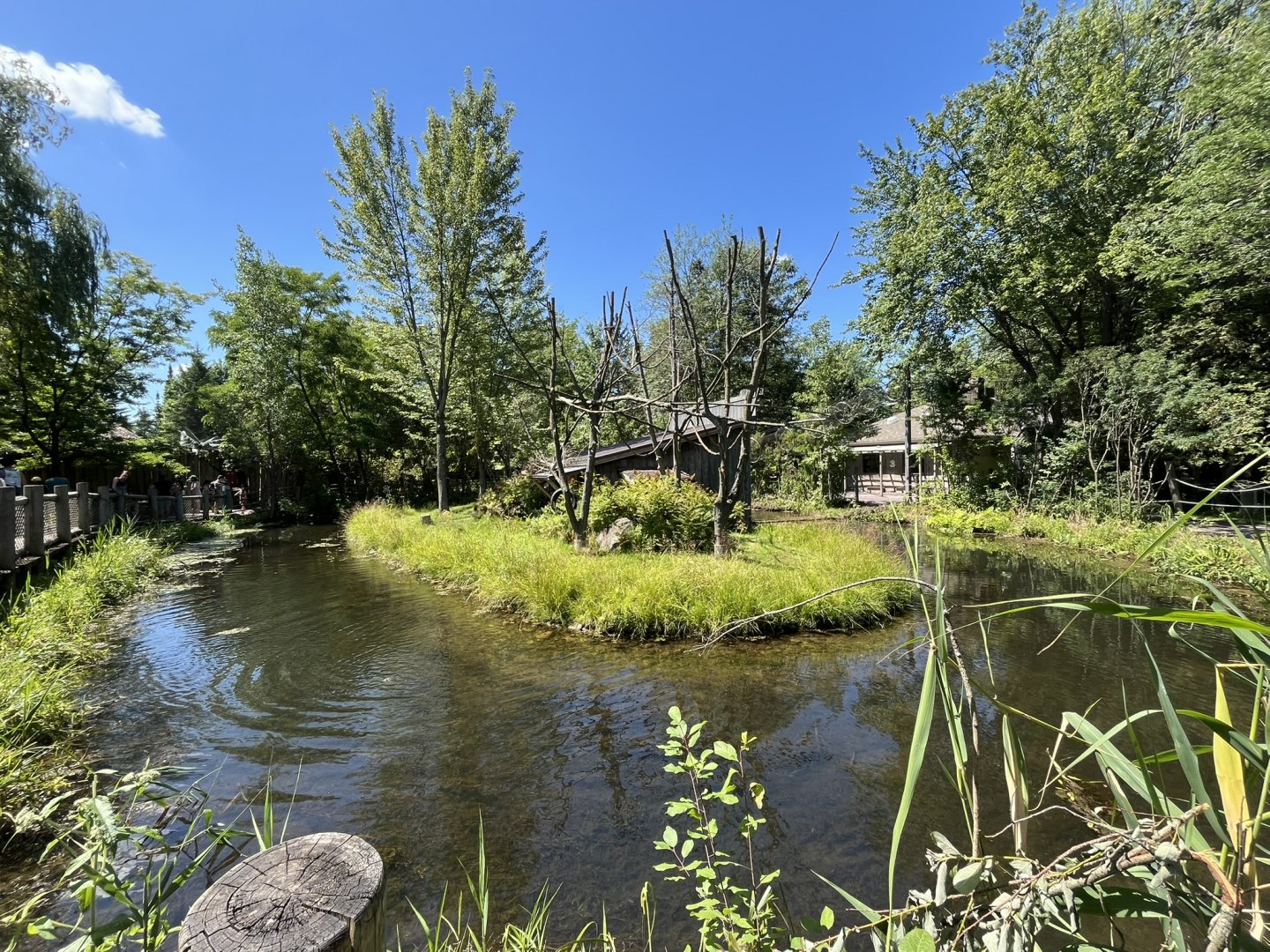 Lemur Island home to the Ring tailed lemur and Black and White Ruffed Lemur