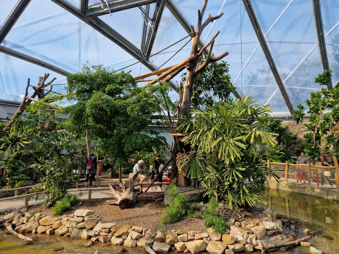 Lemur Island, Meranti hall