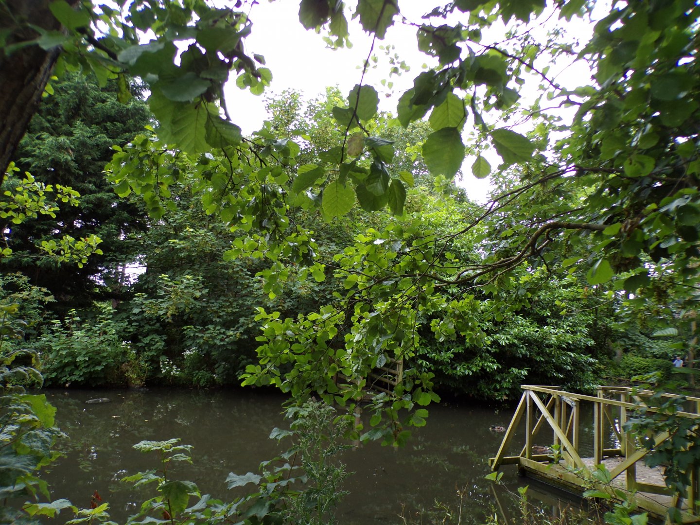 Lemur island (red-bellied and ring-tailed lemur) 29.6.24