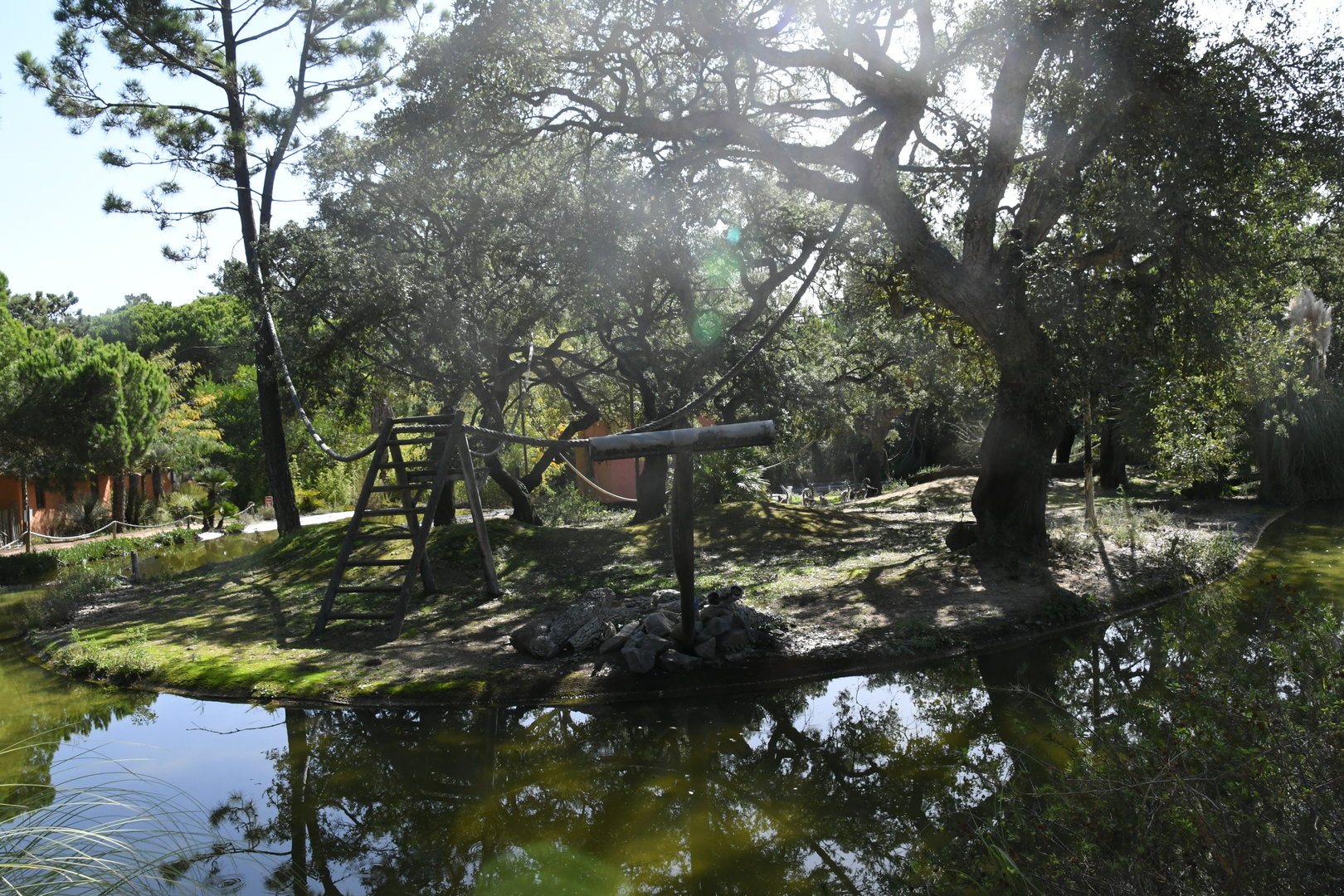 Lemur Island (Ring-tailed and Red-bellied Lemurs)