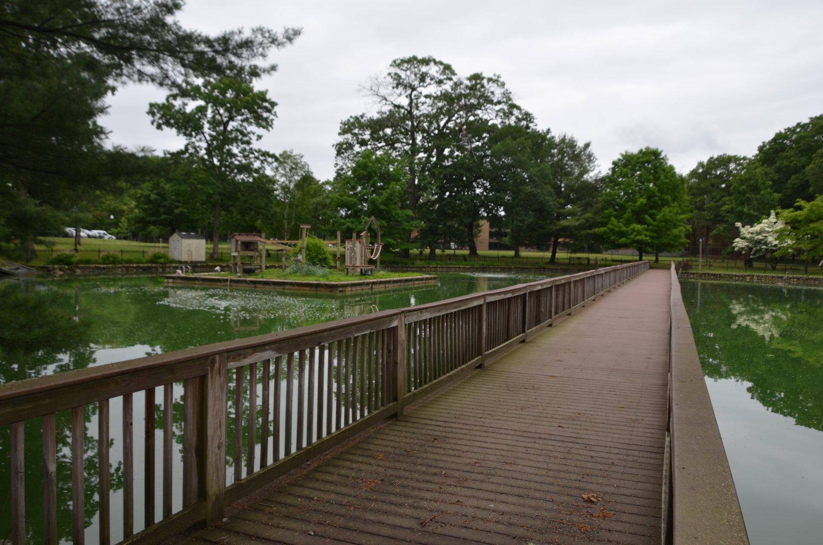 Lemur Island Walkabout