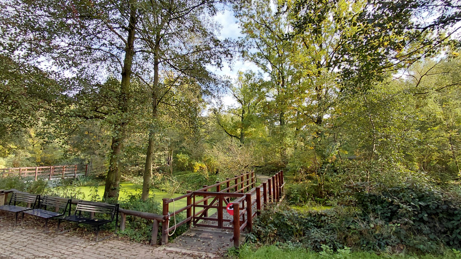Lemur island - walkthrough exhibit