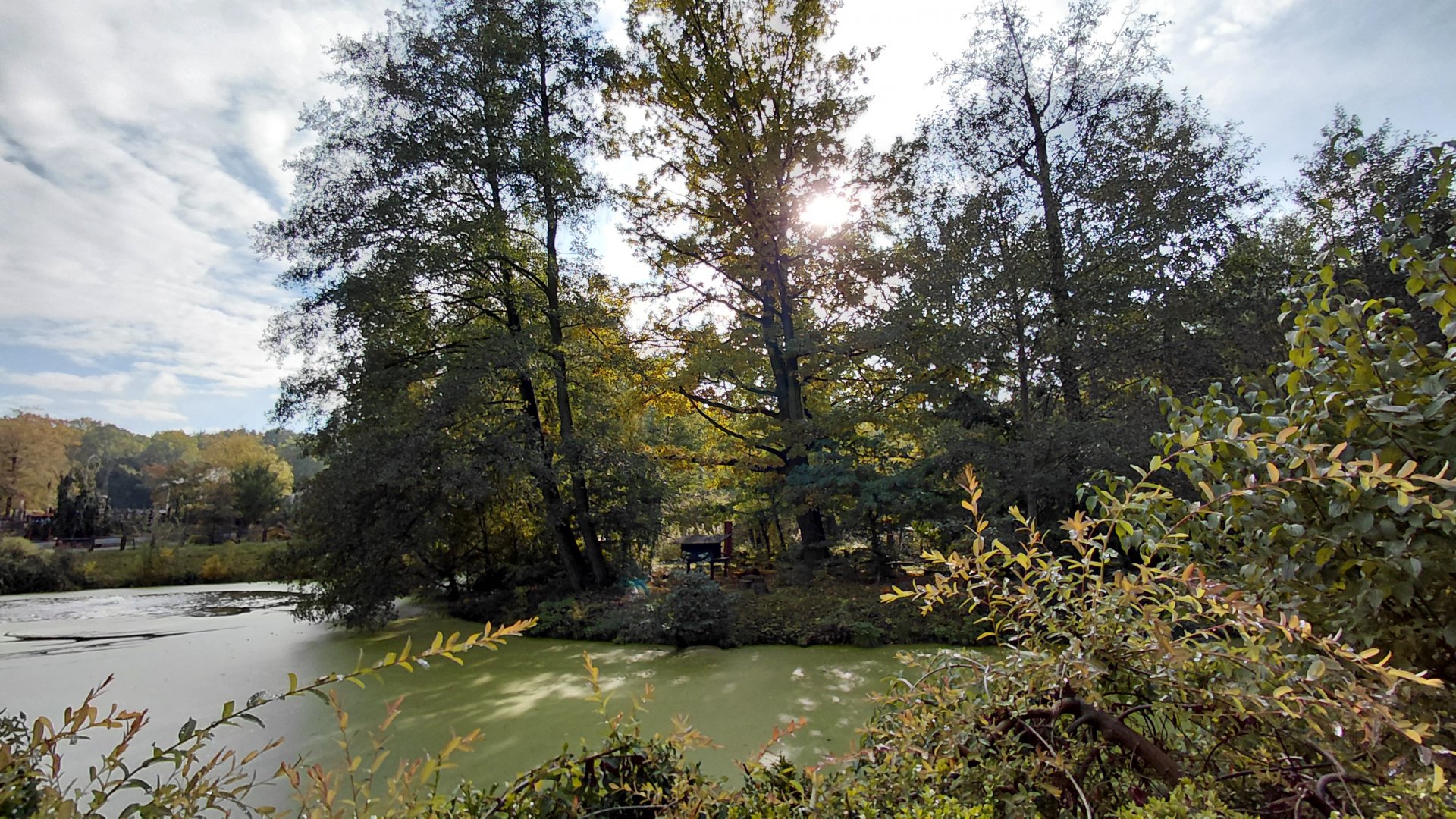 Lemur island - walkthrough exhibit