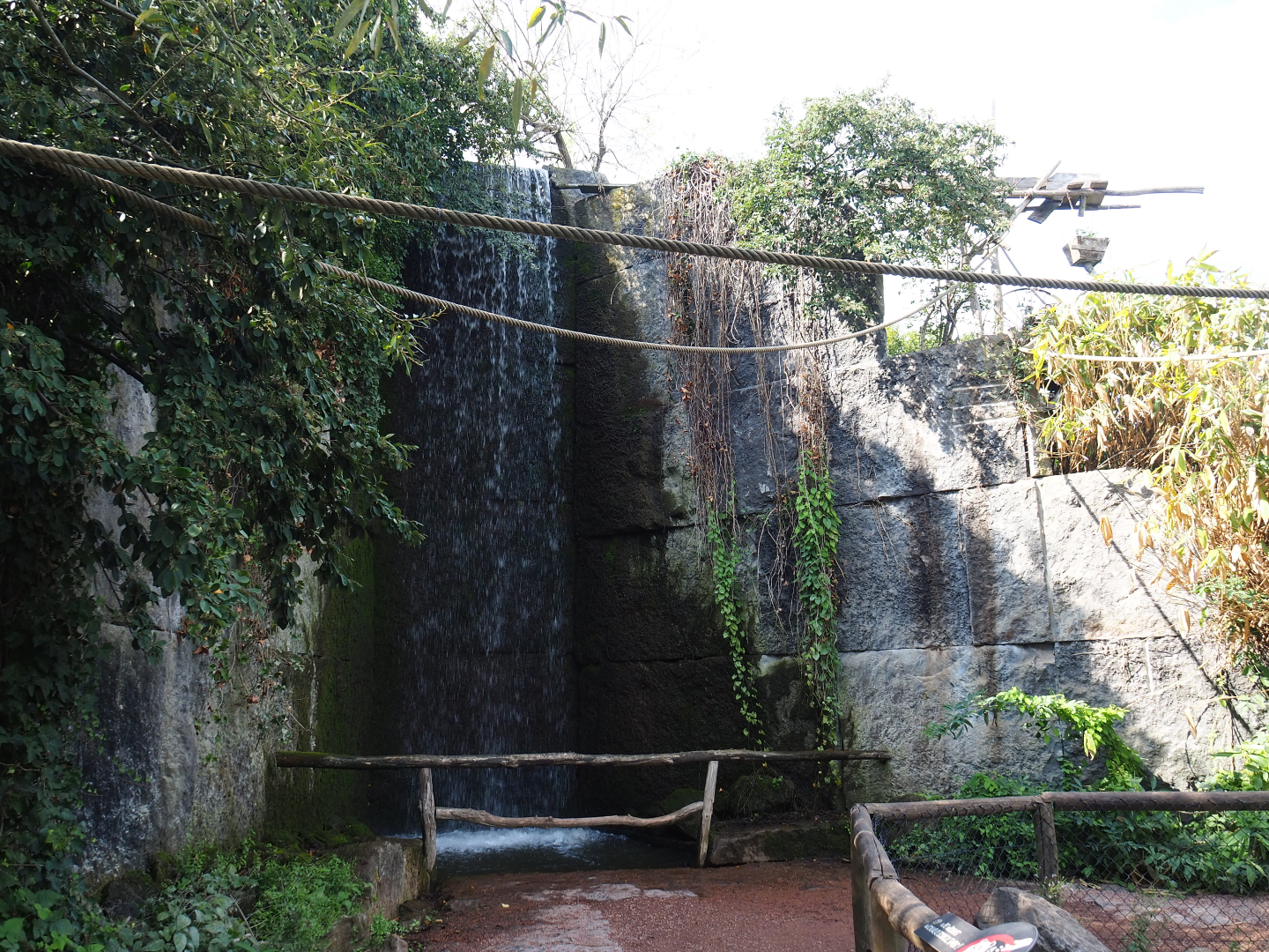 Lemur island waterfall, 2020-09-02