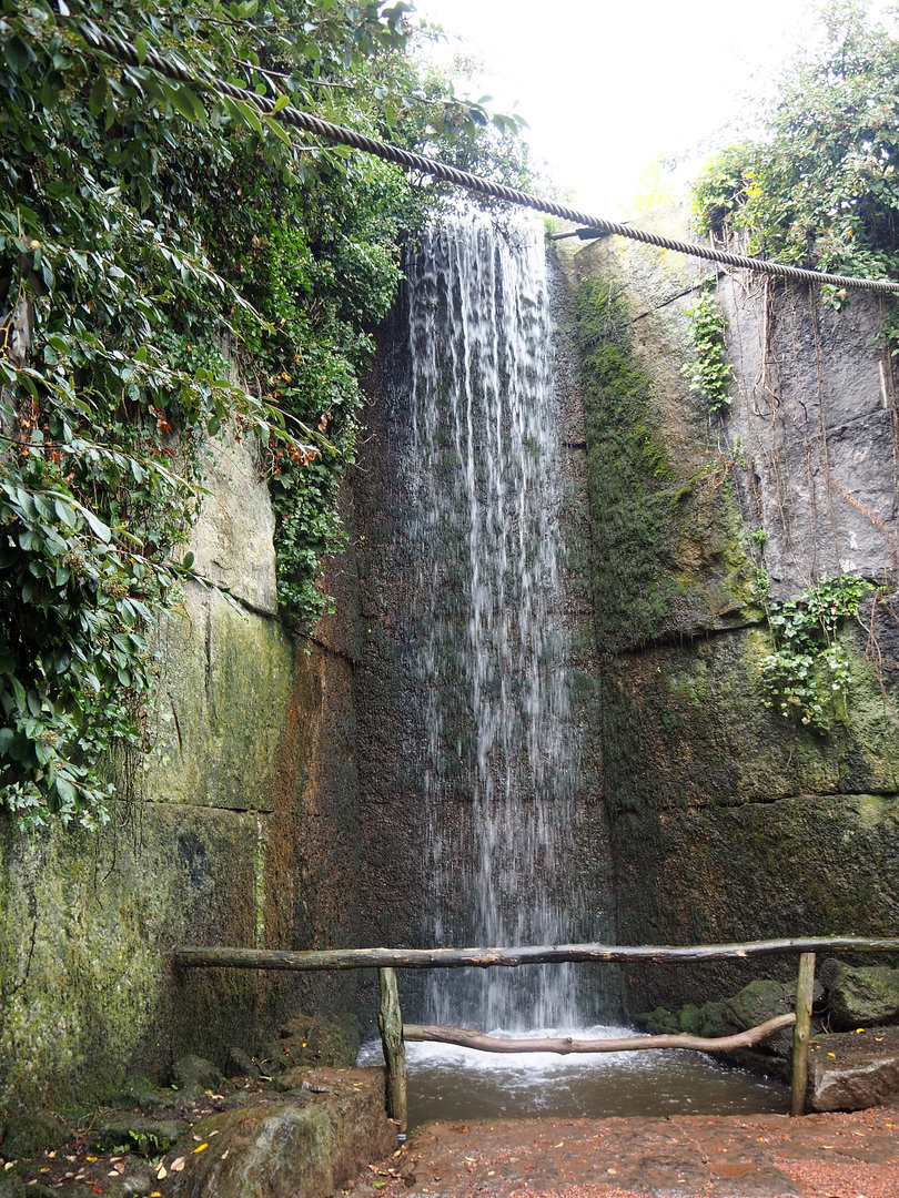 Lemur island waterfall, 2022-09-15