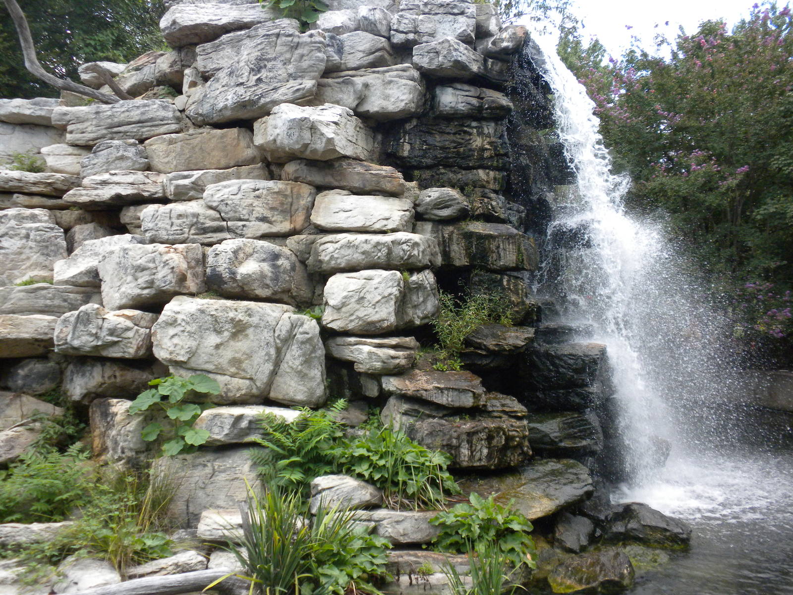 Lemur Island with no Lemurs